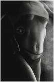 “Luxe boudoir fotoshoot in Nederland gericht op empowerment van vrouwen en het vergroten van zelfvertrouwen in een stijlvolle studio”