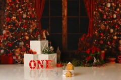 Kerst cakesmash fotoshoot