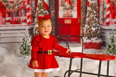 kerstfotoshoot 2024