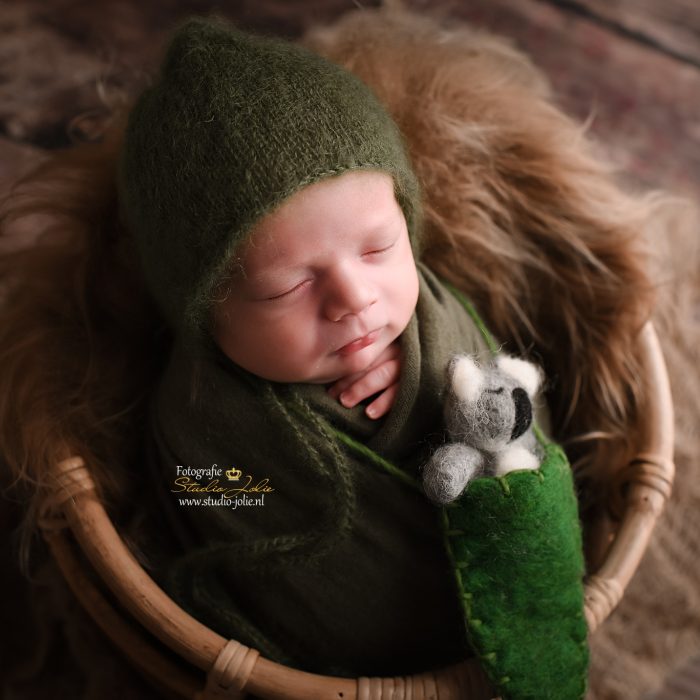 newborn fotograaf rotterdam