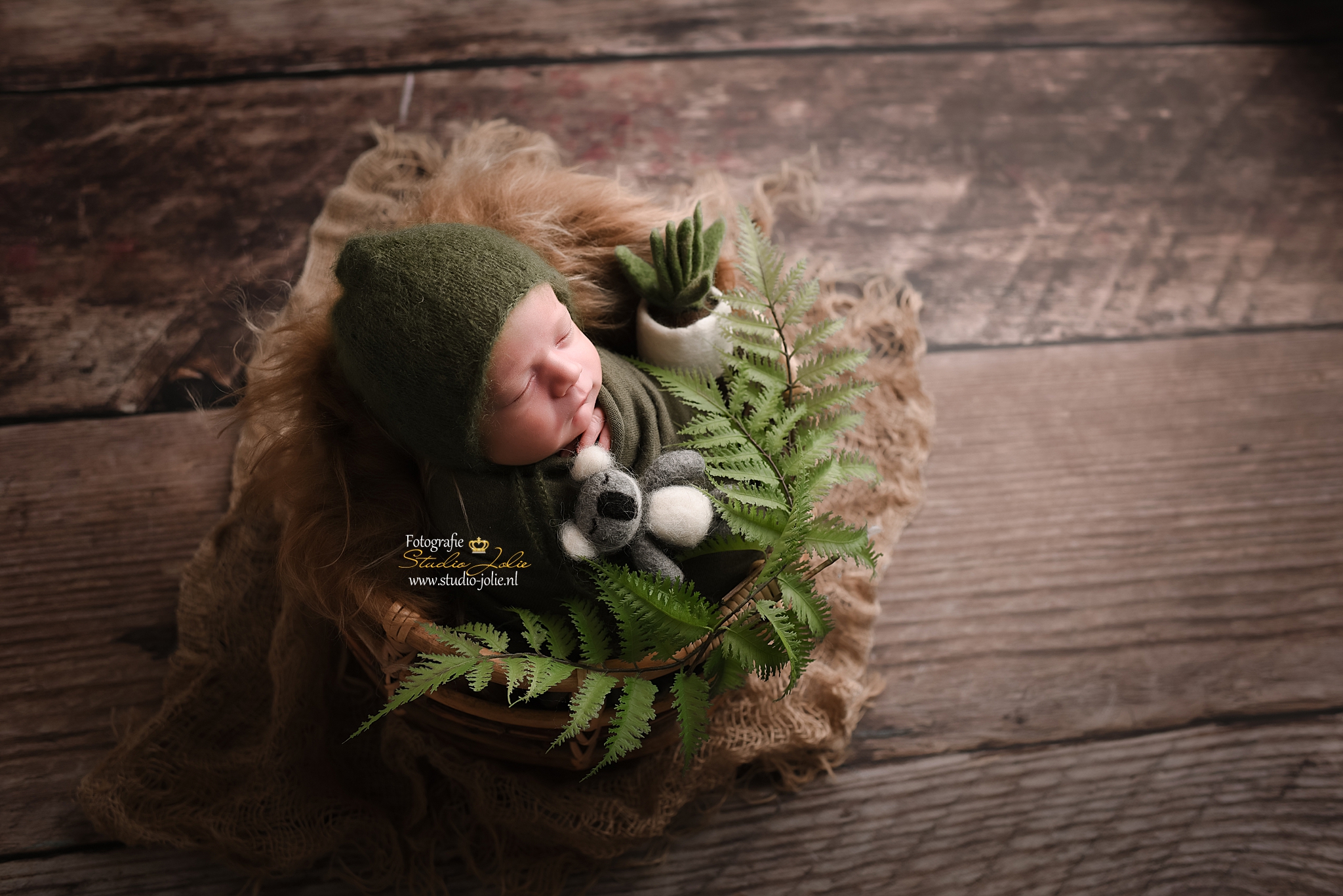 newborn fotografie Nederland