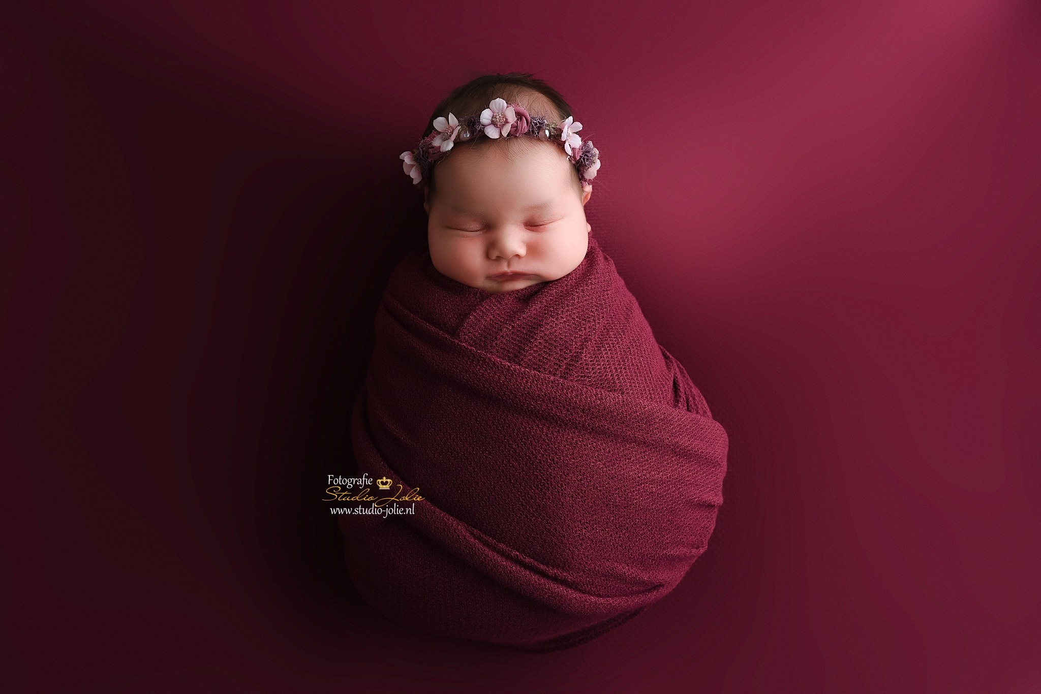 beste newborn fotograaf rotterdam