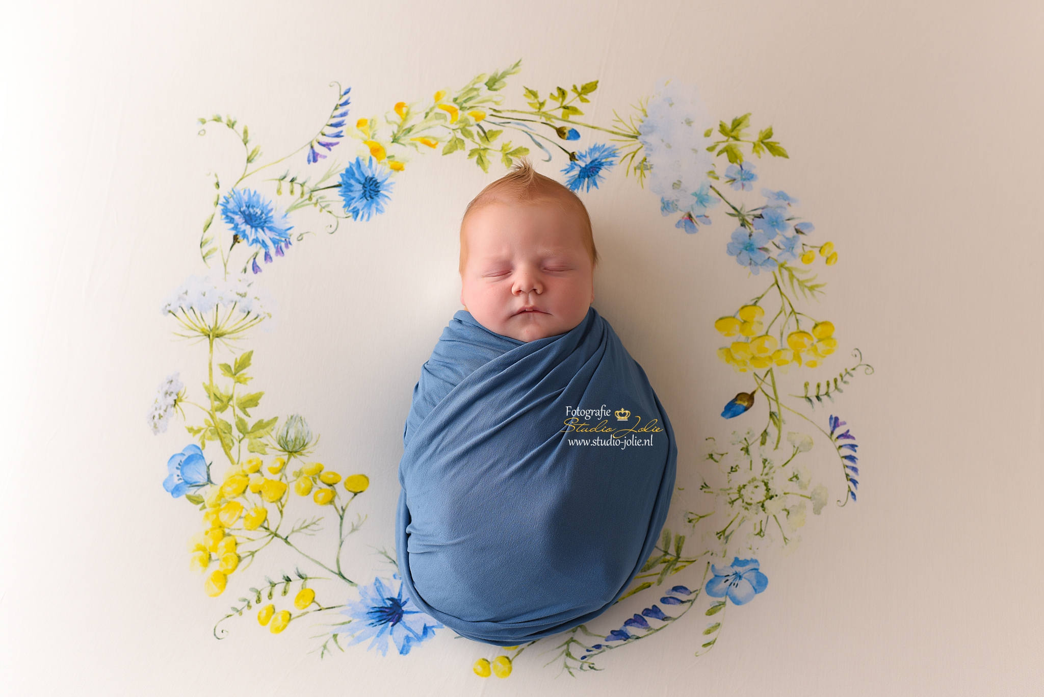 beste newbornfotograaf