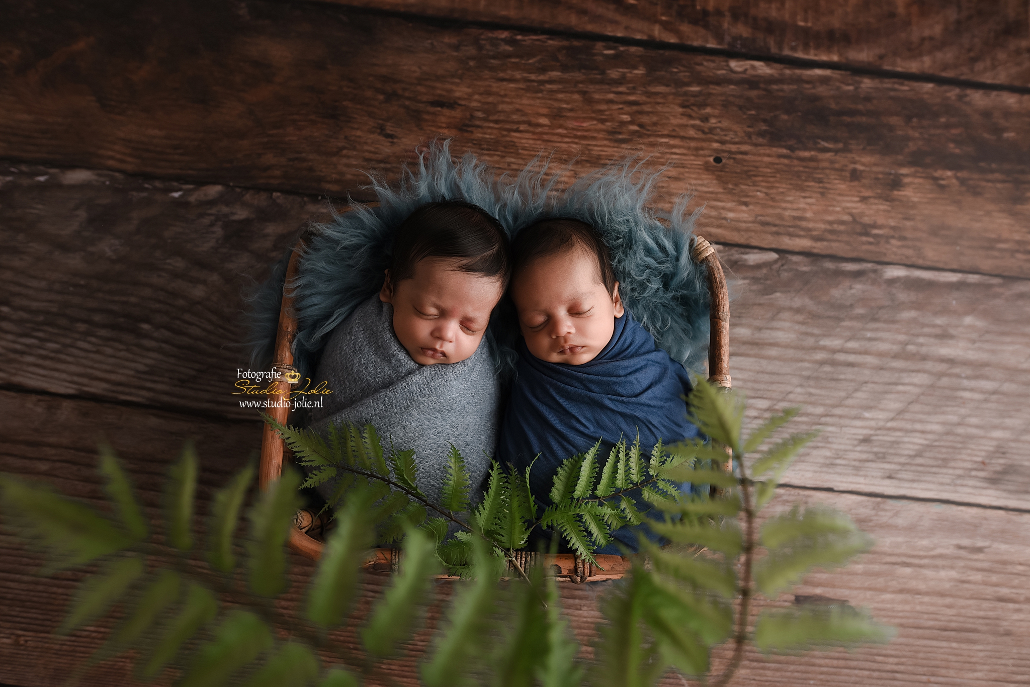 tweeling newborn fotoshoot